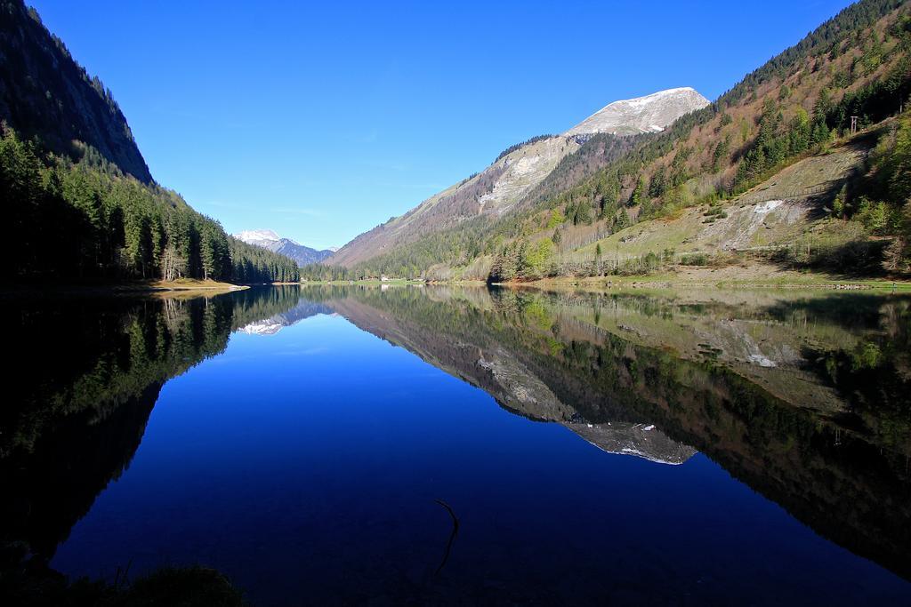 Chalet Genepi Montriond Luaran gambar