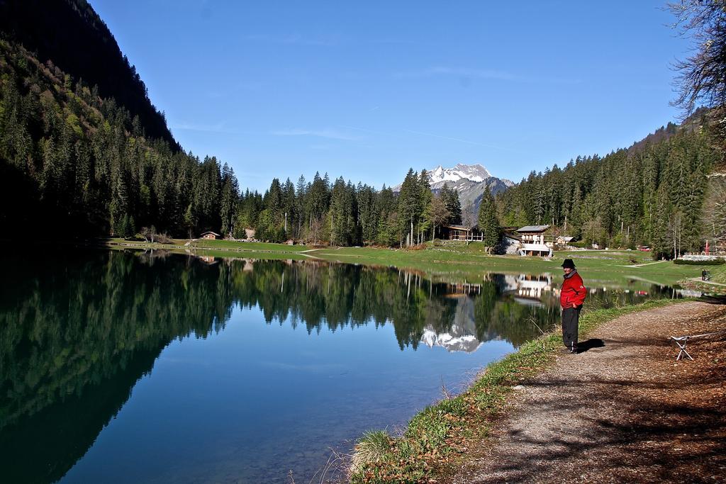 Chalet Genepi Montriond Luaran gambar