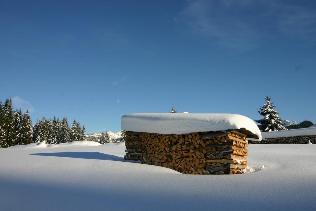 Chalet Genepi Montriond Luaran gambar